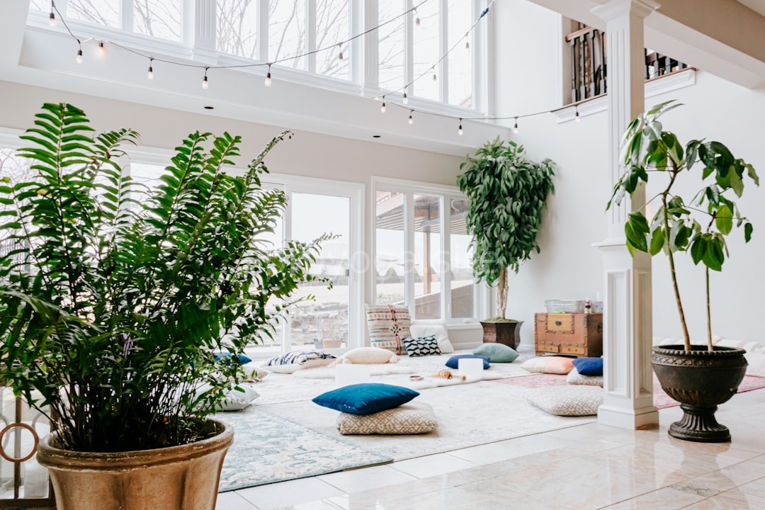 Yoga Studio Atmosphere